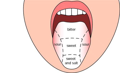 Why Do Diseases Leave a Bitter Taste in the Mouth?