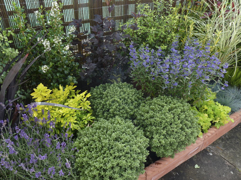 How to Design an Easy to Manage Garden