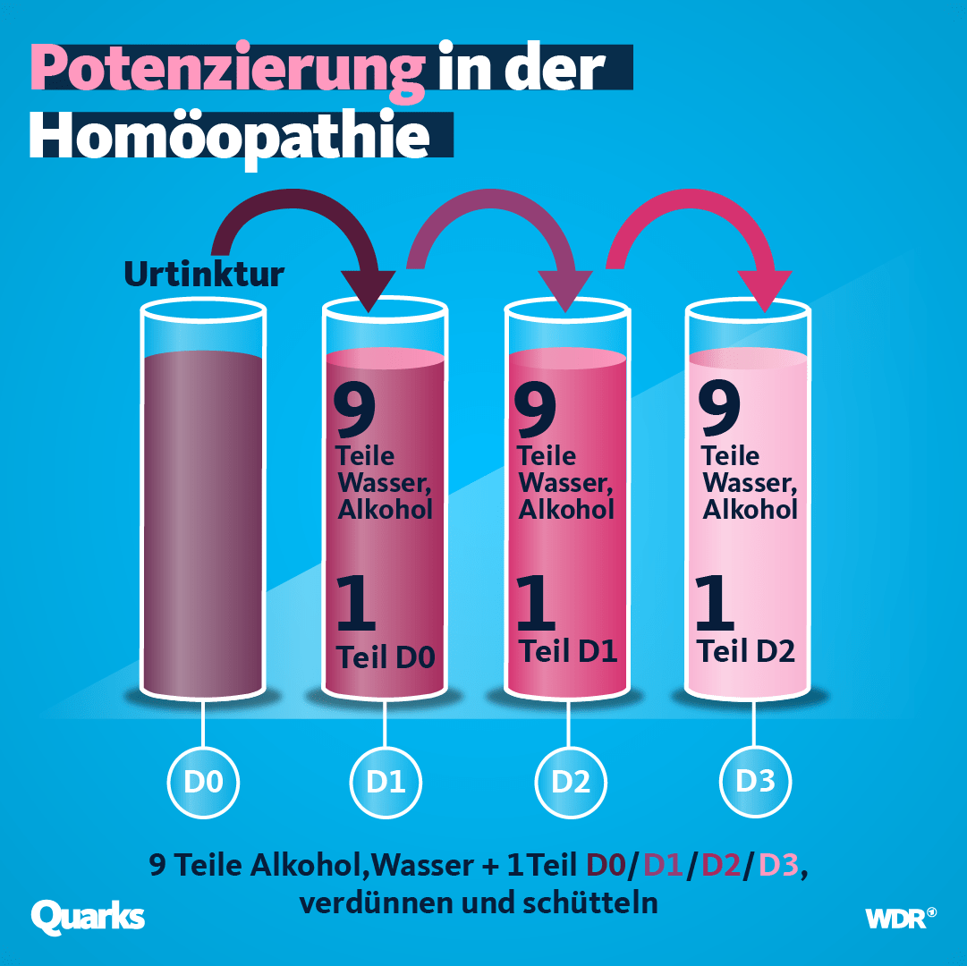 Kindertypen in der Homöopathie Hardcover – Aug. 1 2007