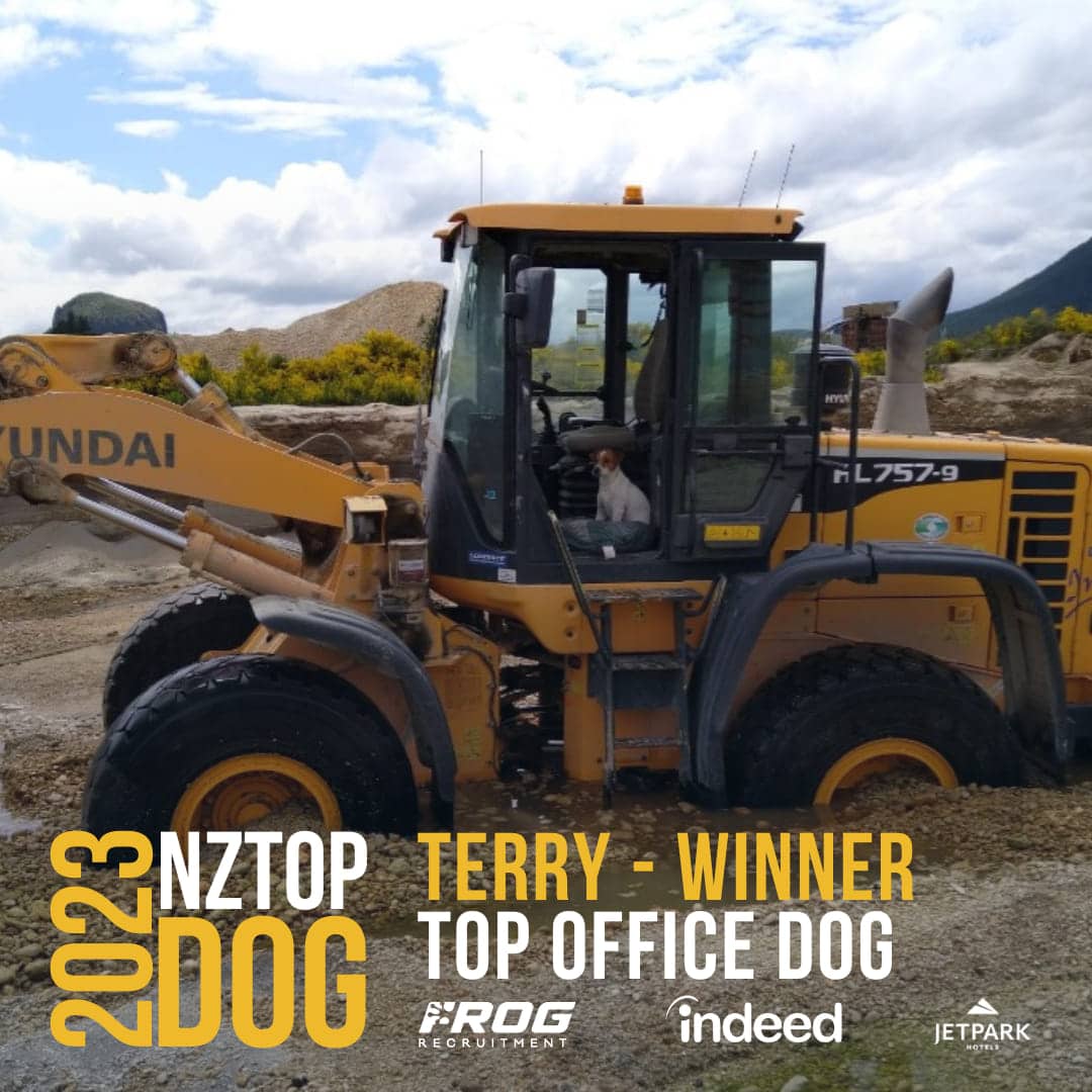 Barking rights New Zealand dog named top quarry worker Quarry