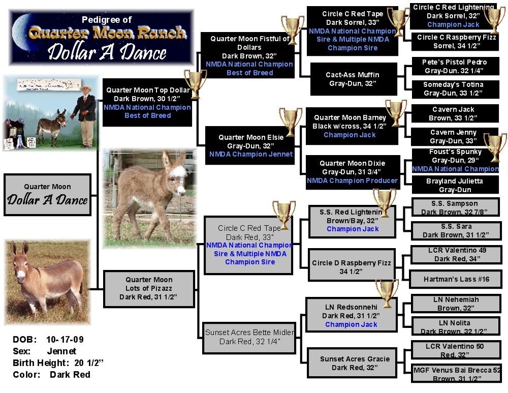Quarter Moon Ranch Brood