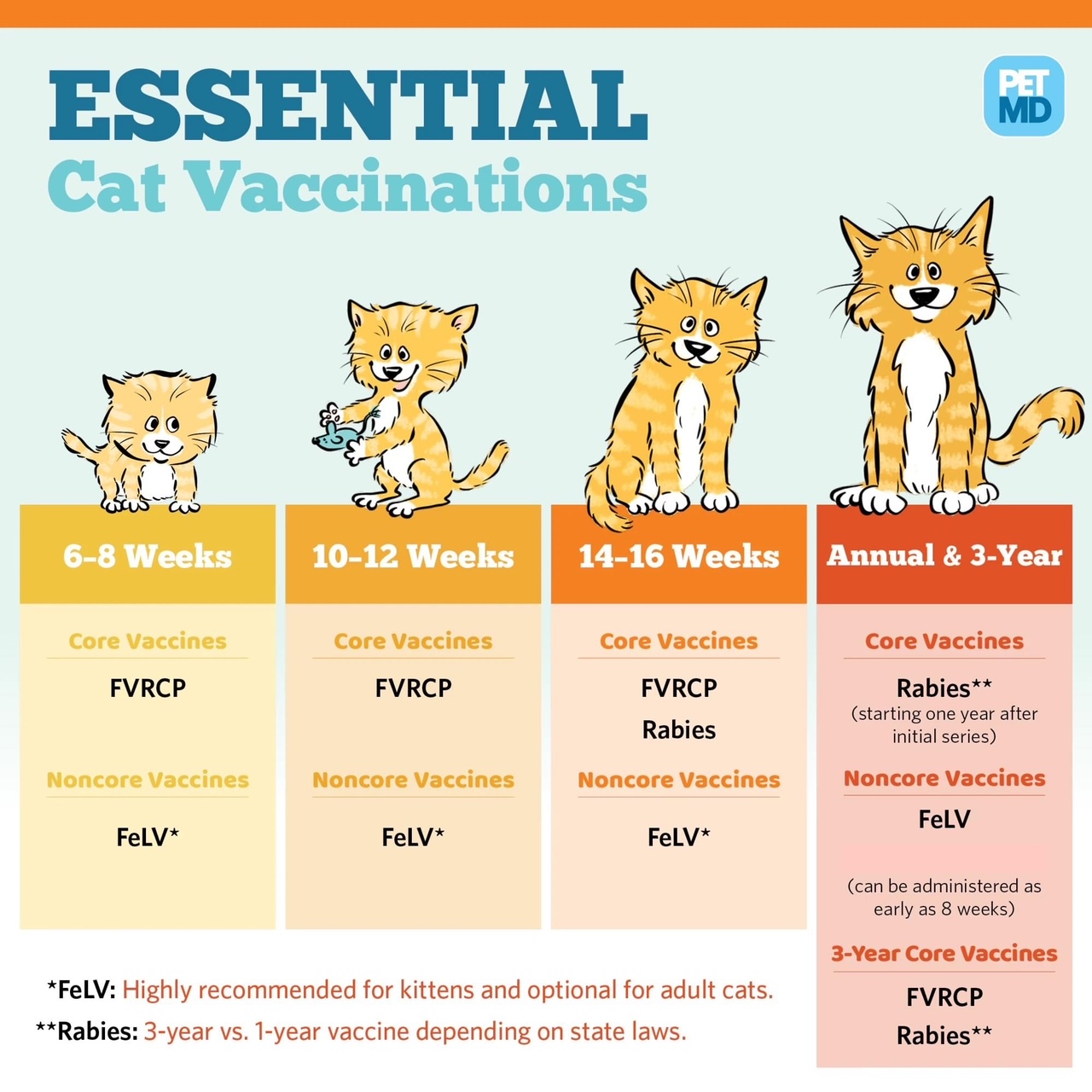 Vaccine Awareness Quartz Hill Veterinary Clinic