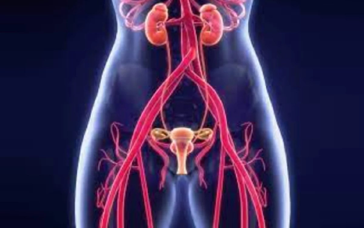 Pon el freno a las varices pélvicas, sinónimo de dolor y de falta de