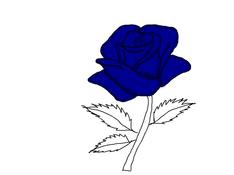 Blue Rose ← a stilllife Speedpaint drawing by XConfidential Queeky