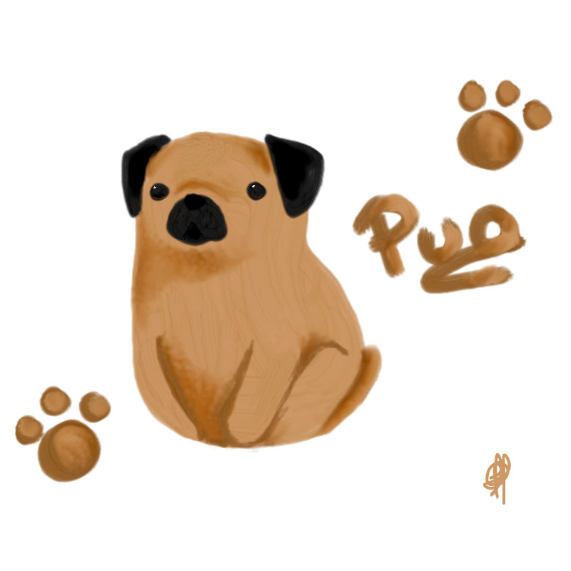 PUG ← an animals Speedpaint drawing by BelovedNEKO