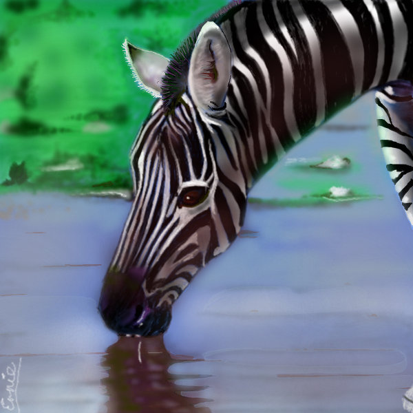 Zebra ← an animals Speedpaint drawing by Queeky draw & paint
