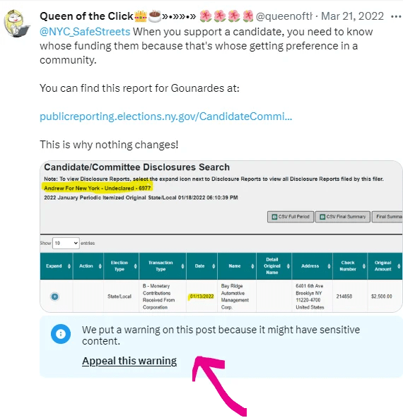 Why is Trans Alt Walking in Bay Ridge on 11/12?