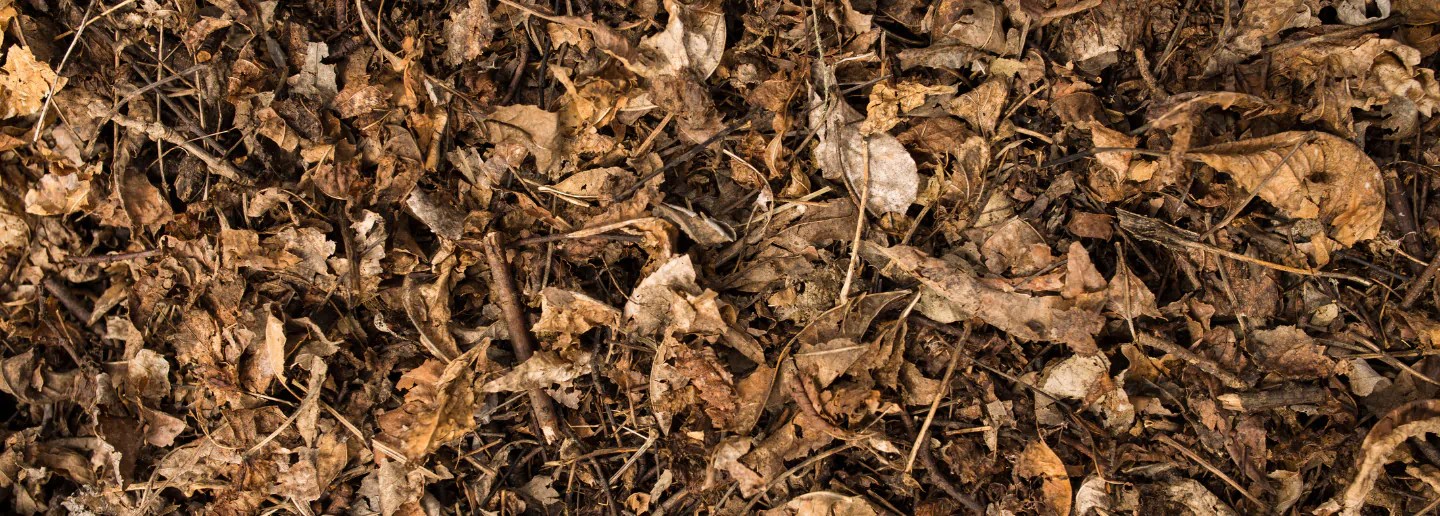 Mulch For Sale Murfreesboro, TN Queen's Tree Surgery Incorporated