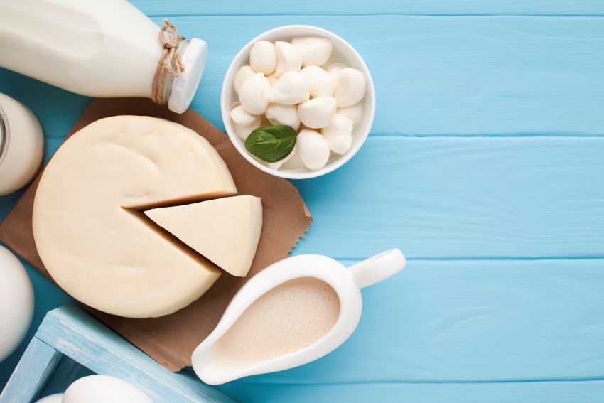 ¿Qué es el cuajo para hacer queso? Queso de Oveja Zacatena
