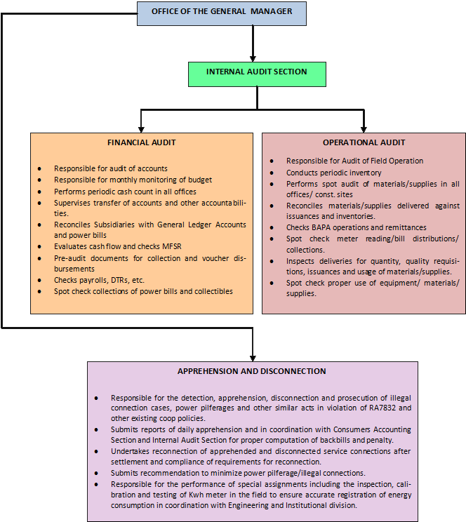 Internal Audit Section QUEZELCO II Official Website Infanta Quezon