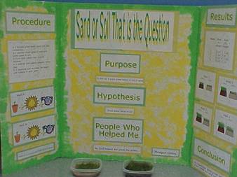 Flower Science Fair Project Titles | Best Flower Site