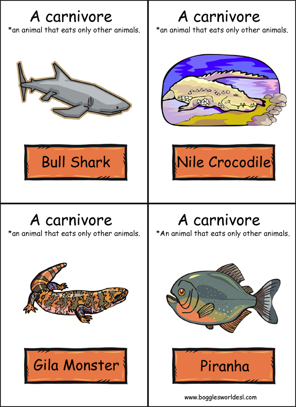 Quia Life Science Lesson 5 Unique Niche, Food Chains