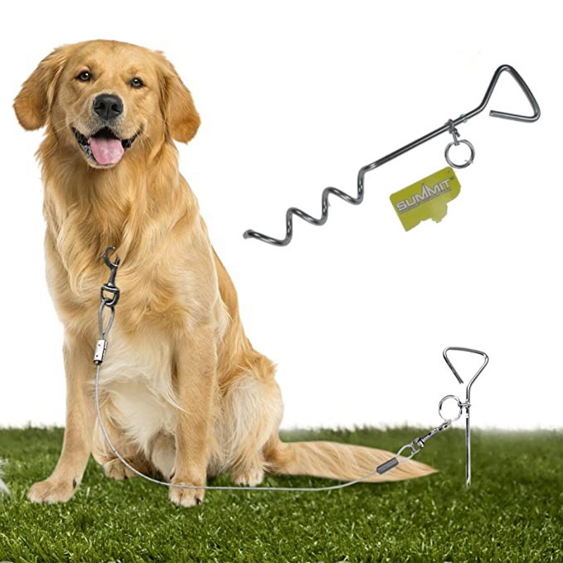 Stake And Lead For Dog