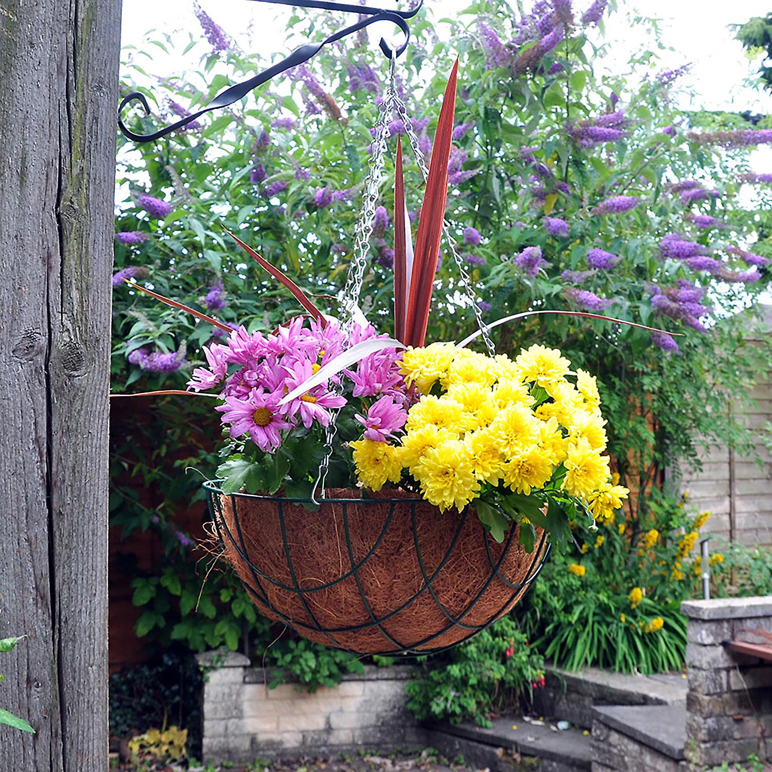 16" Wire Hanging Flower Basket & Chain