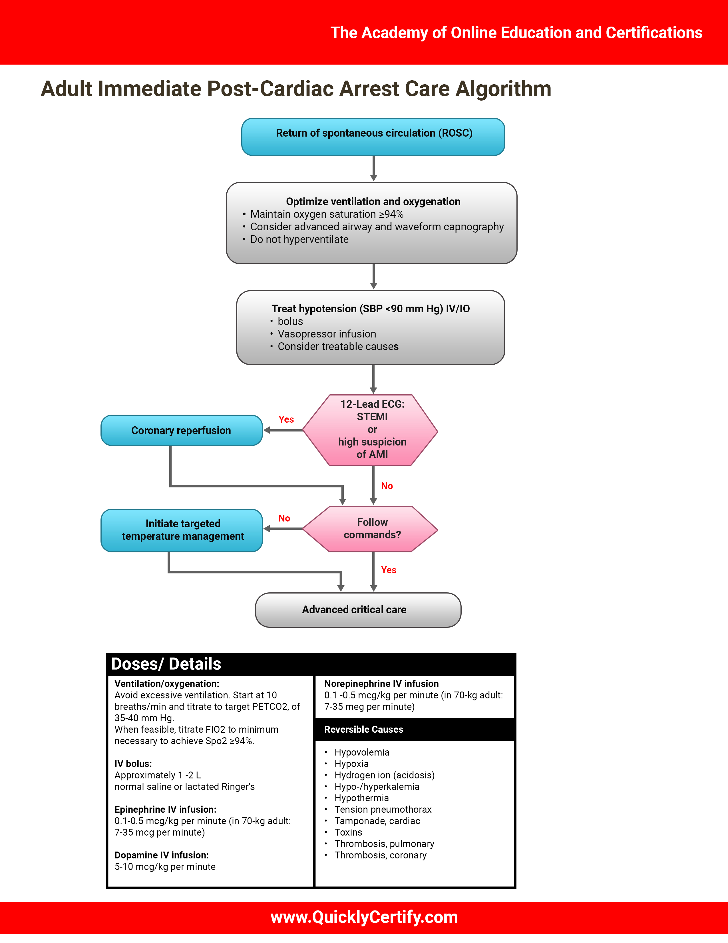 Advanced Cardiac Life Support Algorithms - The Academy of Online