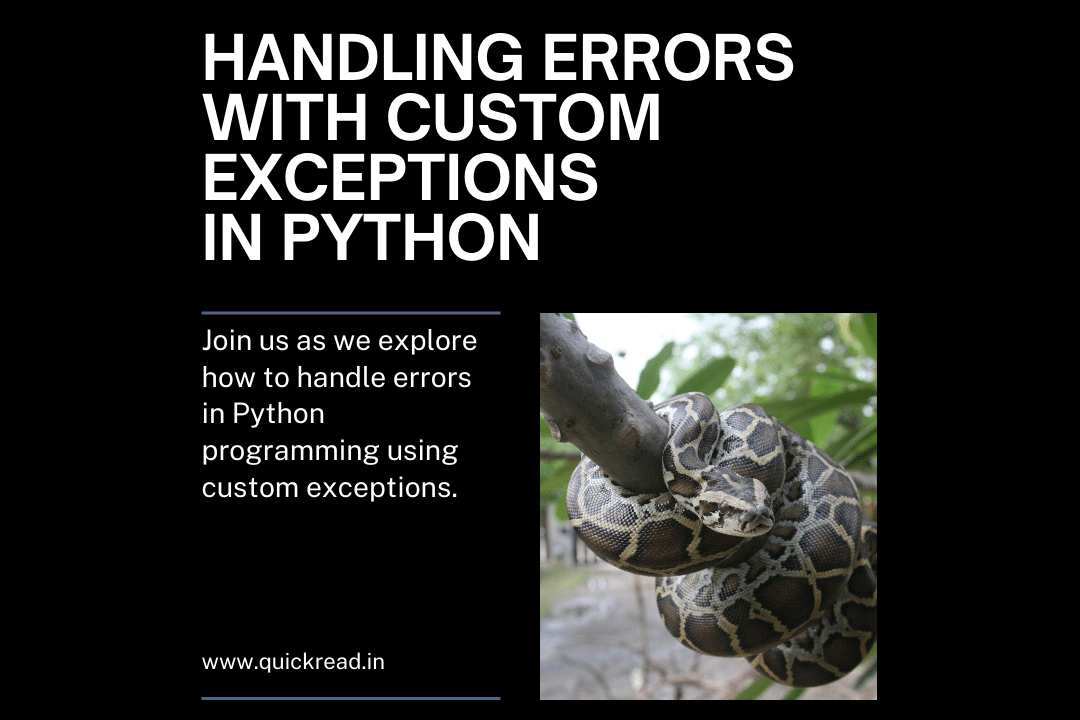 Handling Errors with Custom Exceptions in Python