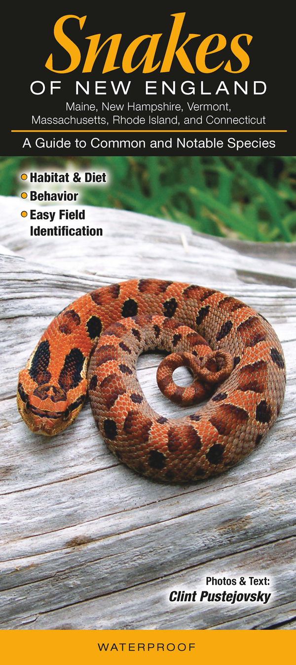 Snakes of New England Quick Reference Publishing