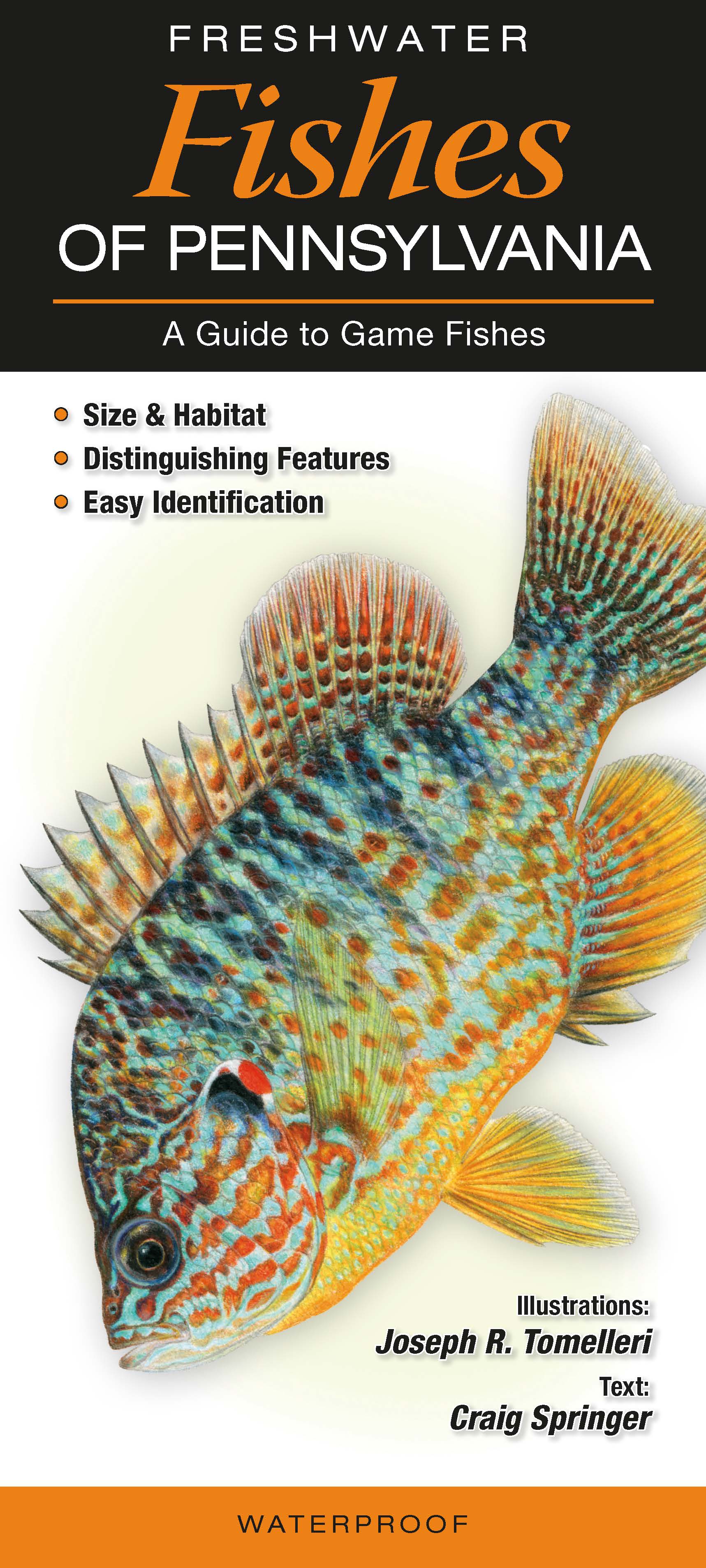 Pa Freshwater Fish Species