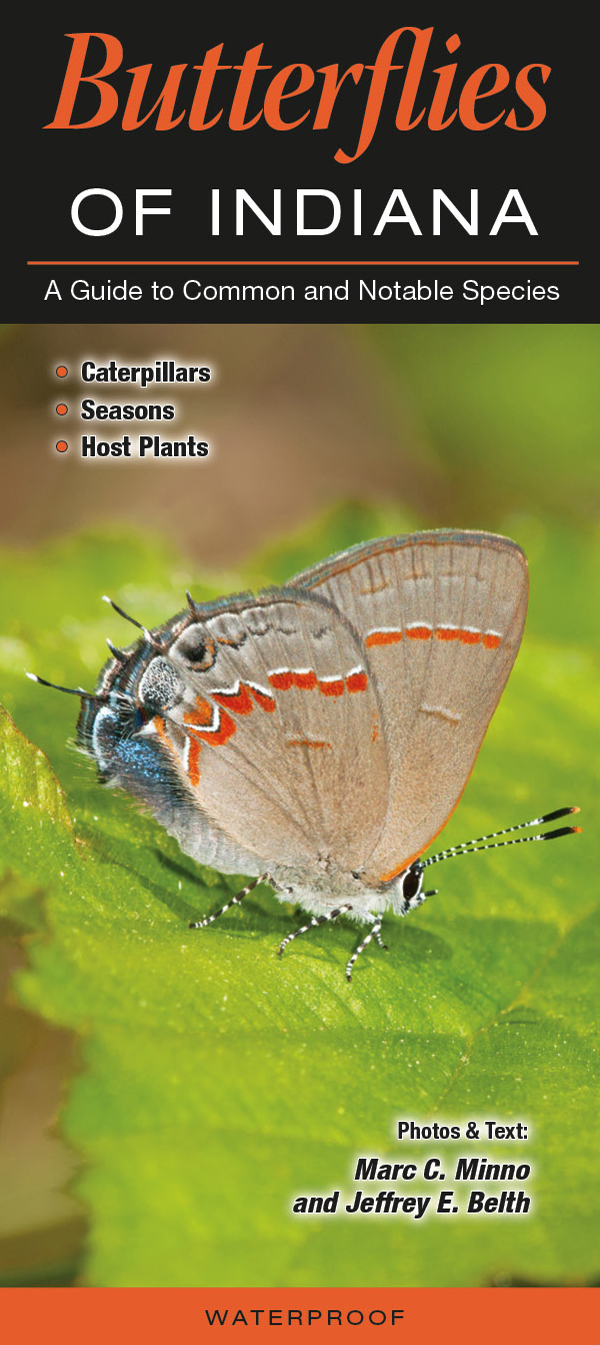 Butterflies of Indiana Quick Reference Publishing