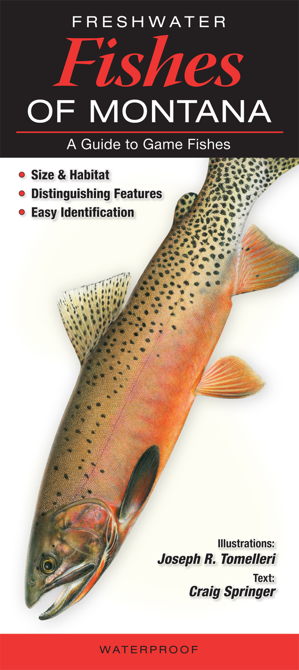 Freshwater Fishes of Montana Quick Reference Publishing