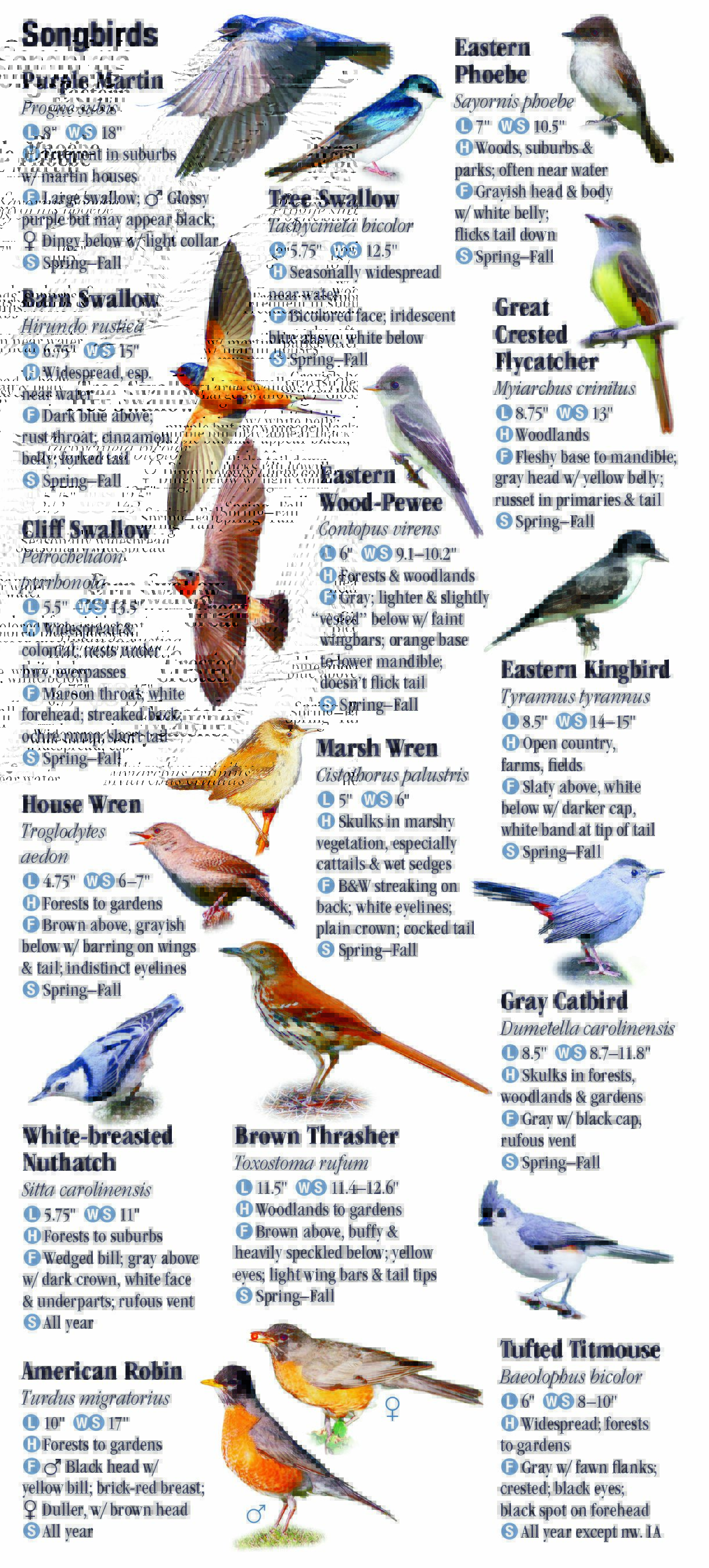 Birds of Iowa Quick Reference Publishing Retail