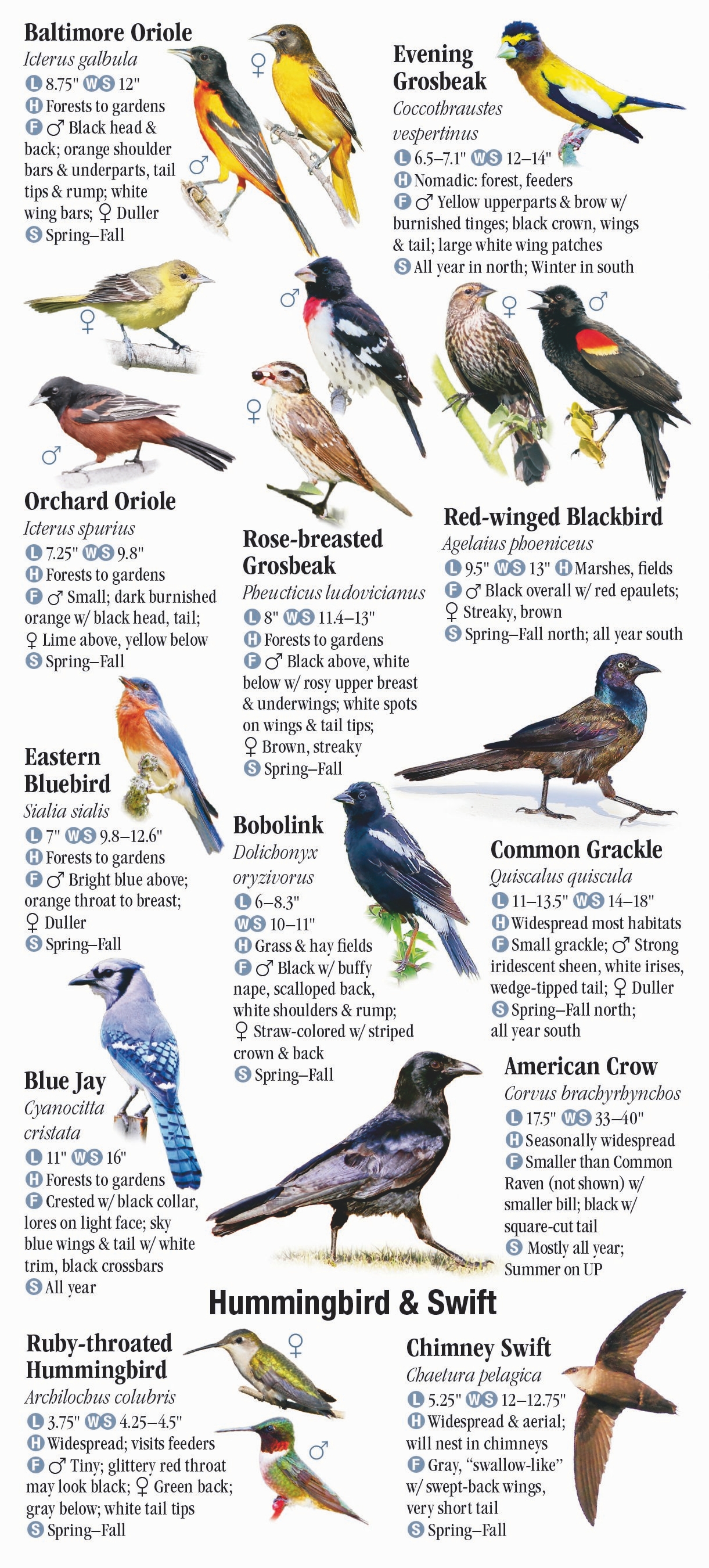 Birds of Michigan Quick Reference Publishing