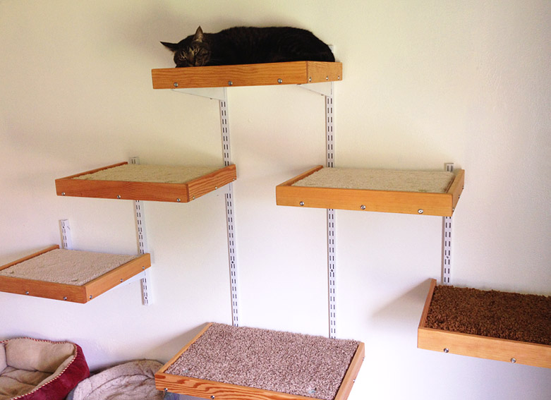 5 DIY cat trees to improve your kitty's life Quiet Corner