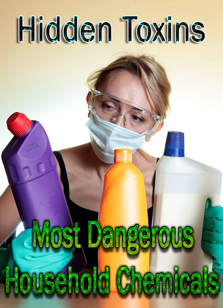 Quiet CornerHidden Toxins Most Dangerous Household Chemicals Quiet