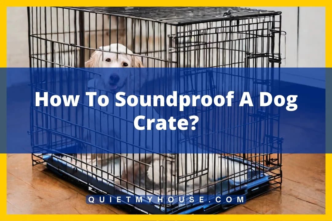 Barking Solutions How to Soundproof a Dog Crate?