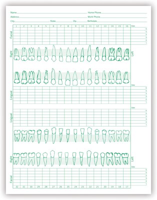 Medical Arts Press® Dental Periodontal Chart | Quill.com