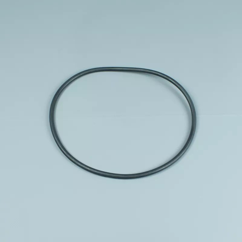 Replacement filter Astralpool Oring
