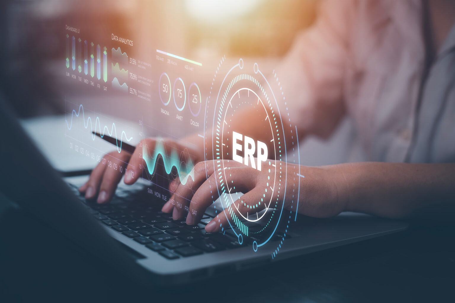 What does ERP stand for? Quintech