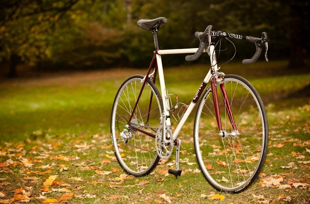 3 Main Types of Bikes You Can Enjoy QuirkyByte