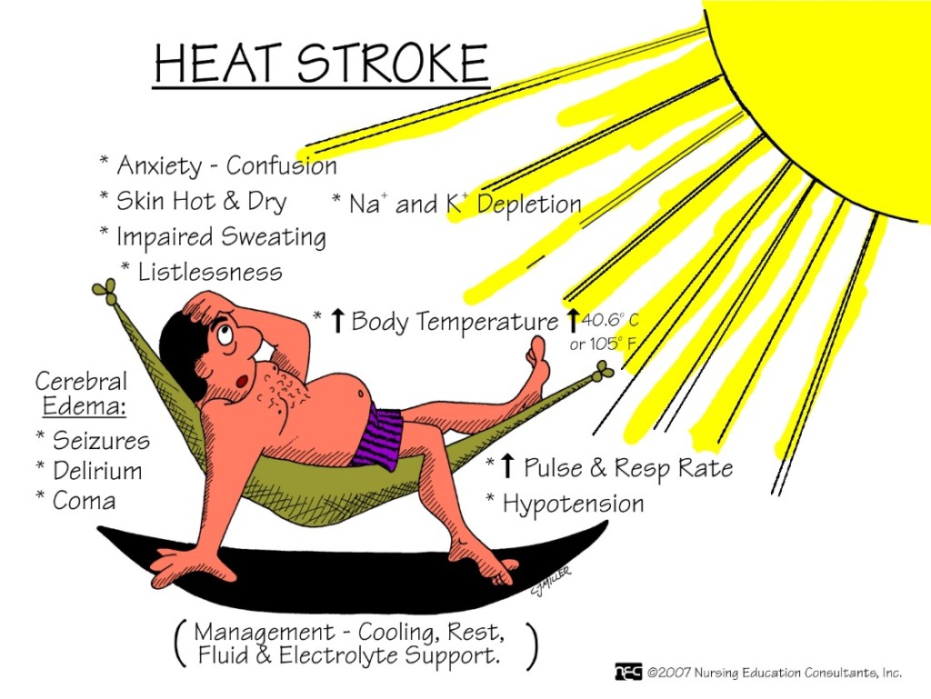 3 Health Problems Specific to Summer Times QuirkyByte