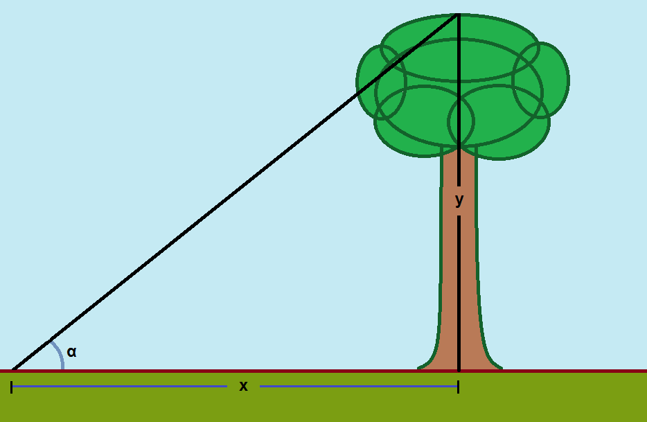 Deriving Basic (Circular) Trigonometric Functions Mathematics