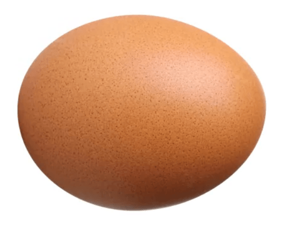 Spin That Egg to See If It is Raw or Cooked Great for Homeschoolers