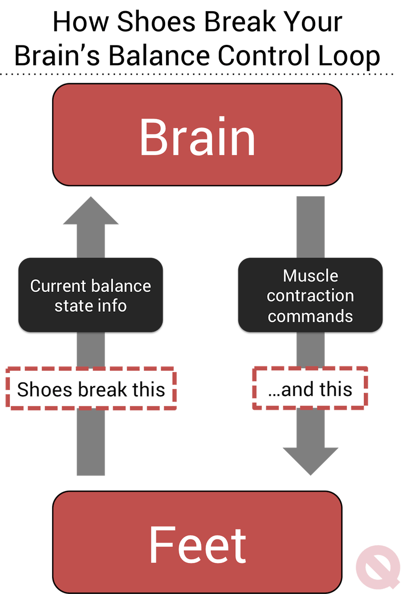 How Shoes Hurt You & Why Standing Barefoot is Healthier Quitting Sitting