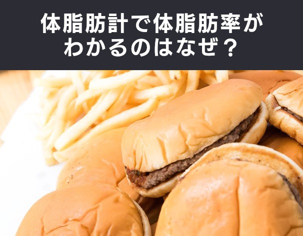 体脂肪計で体脂肪率がわかるのはなぜ？【なぜ vol.223】 クイズ専門情報サイト QUIZ BANG（クイズバン）