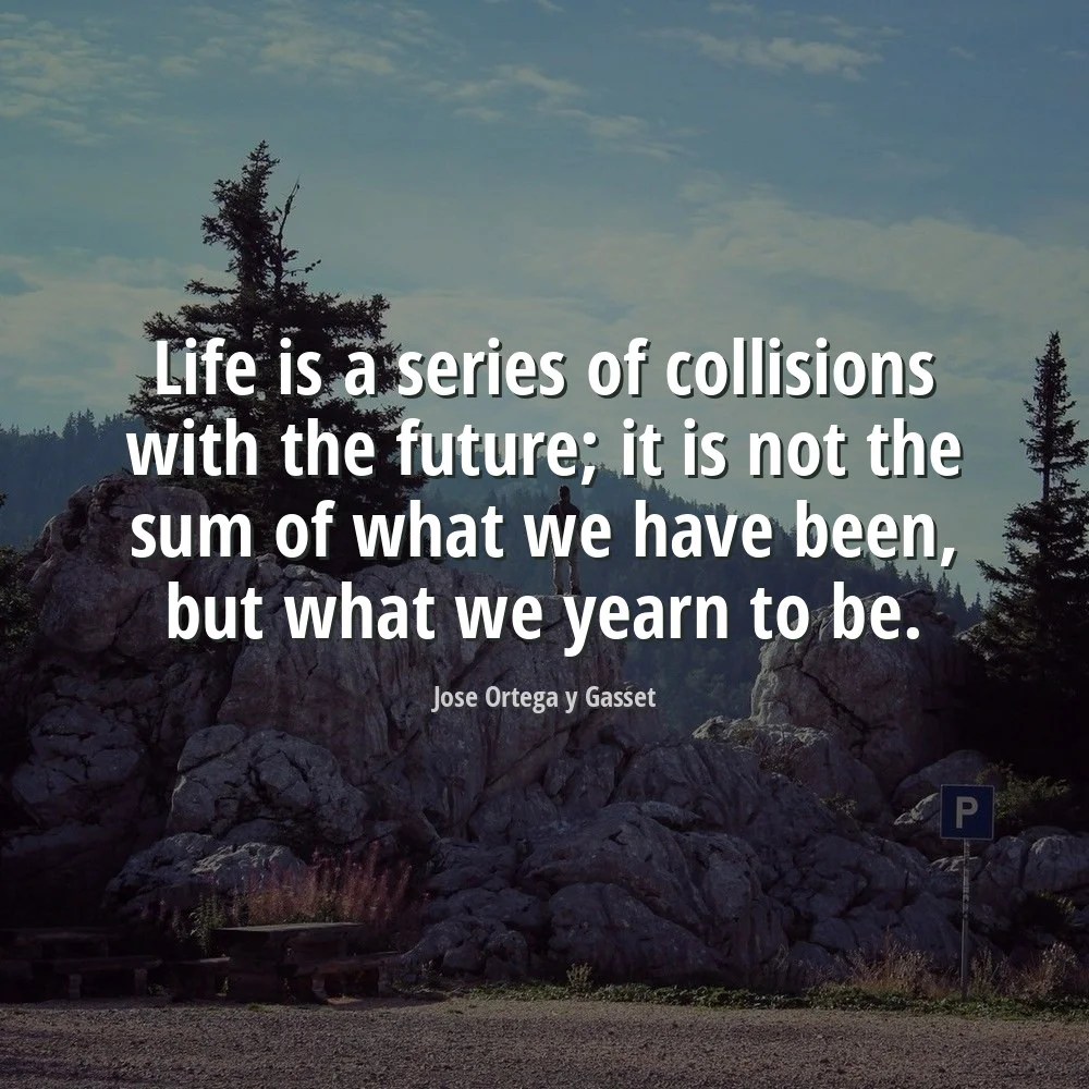 Jose Ortega y Gasset Quote Life is a series of collisions with the