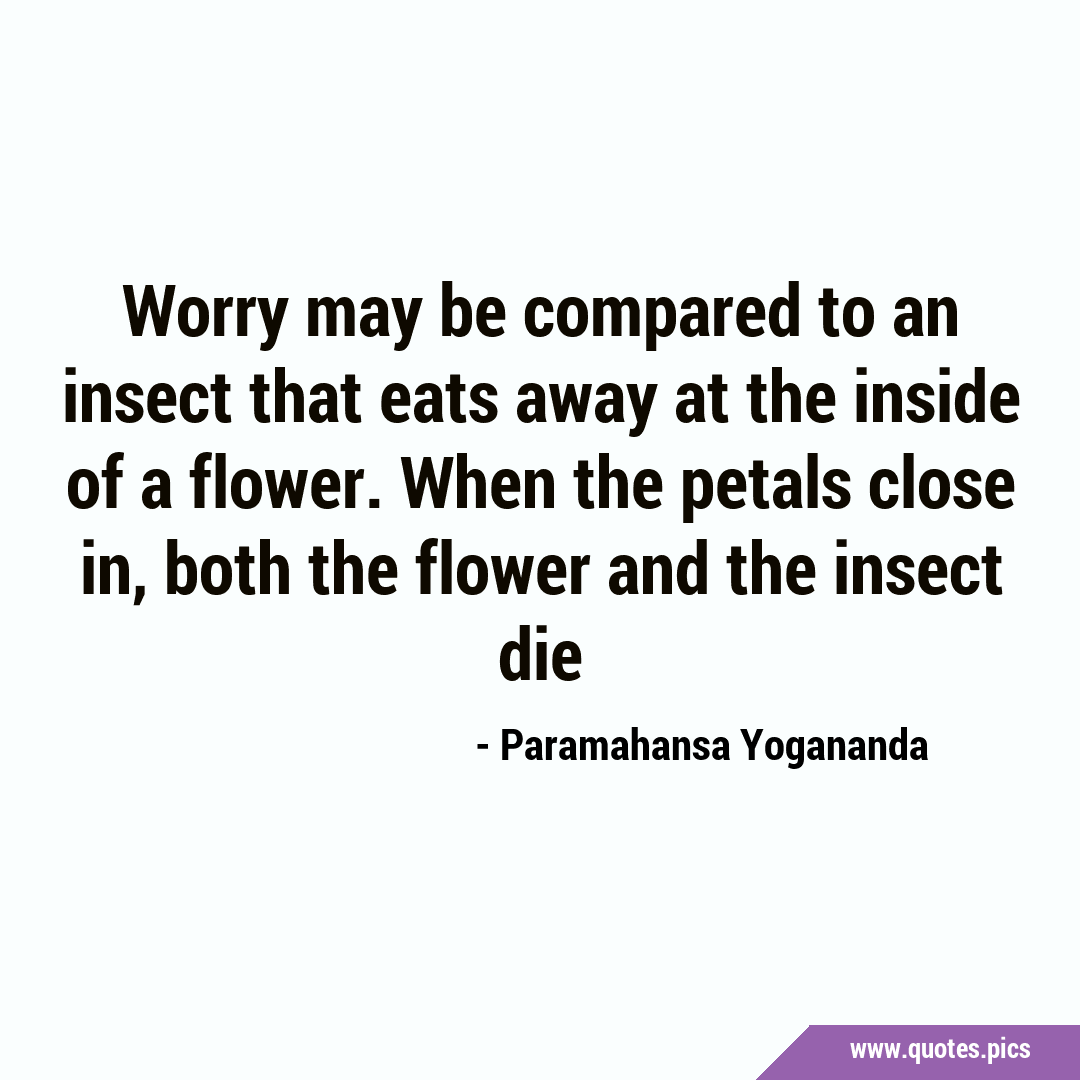 Worry may be compared to an insect that eats away at the inside of a