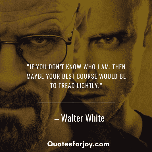 Breaking Bad Quotes