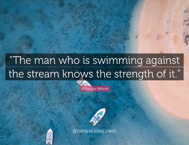 55 Swimming Quotes for The Motivation You Need QuotesLines