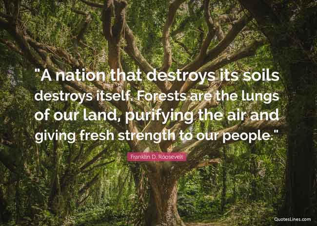 Environment Quotes To Create Global Awareness QuotesLines