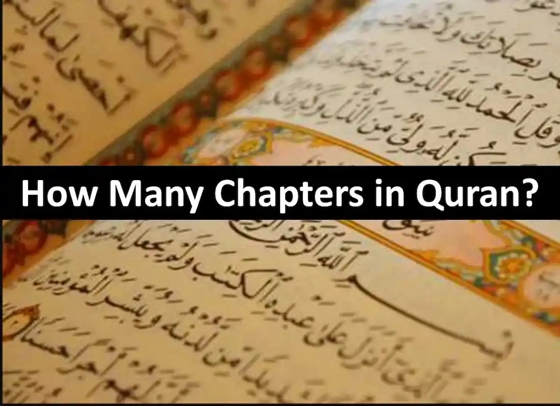 How Many Chapters in Quran? QuranMualim Quran Mualim