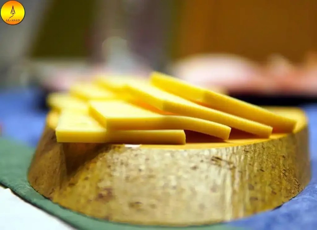 Is Sargento Cheese Halal? Learn Islam Quran Mualim