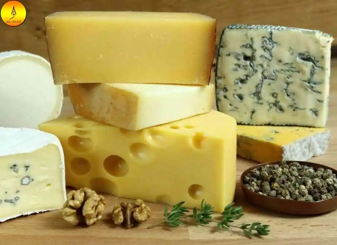 Is Sargento Cheese Halal? Learn Islam Quran Mualim