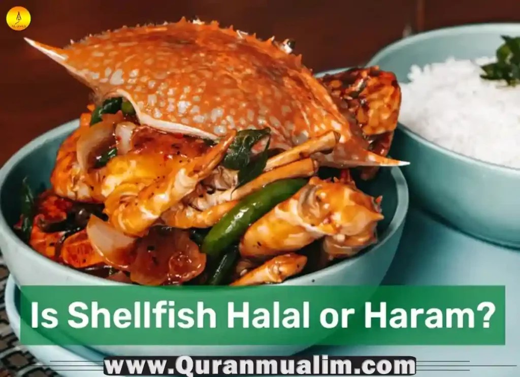 Do Muslims Eat Shellfish? Islam Q&A Quran Mualim