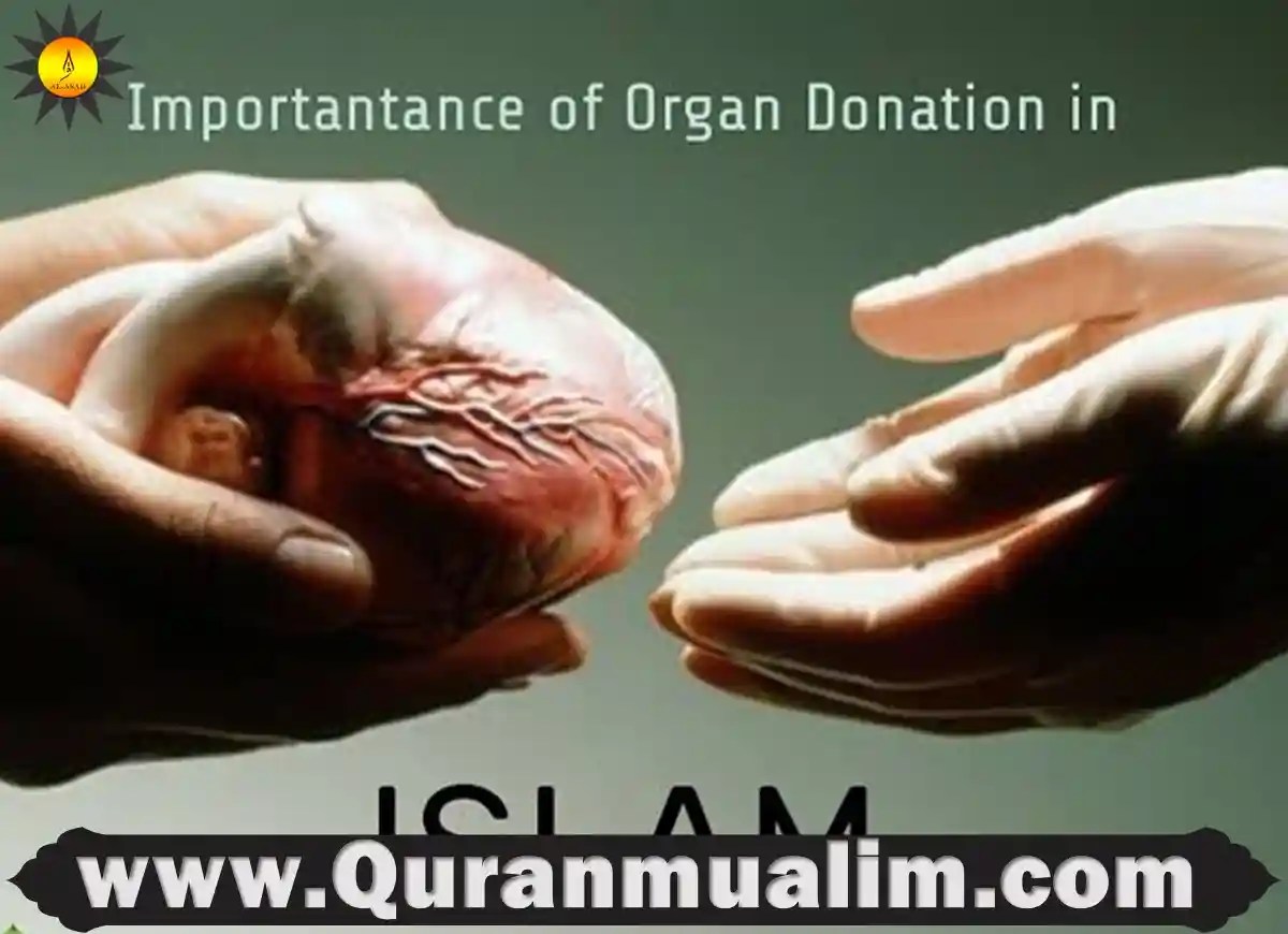 Is Donating Organs Haram? Learn Islam Quran Mualim