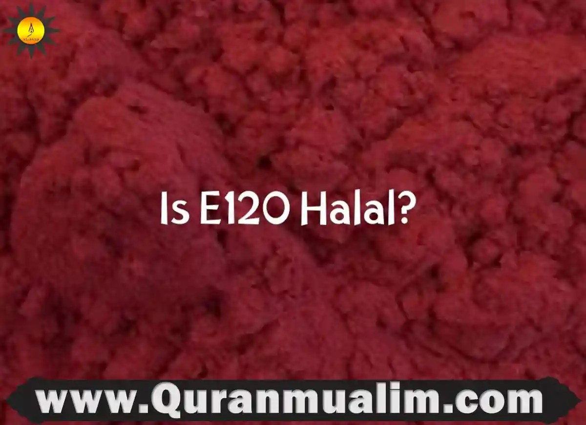 Is E120 Halal or Haram in Islam? Quran Mualim 2025