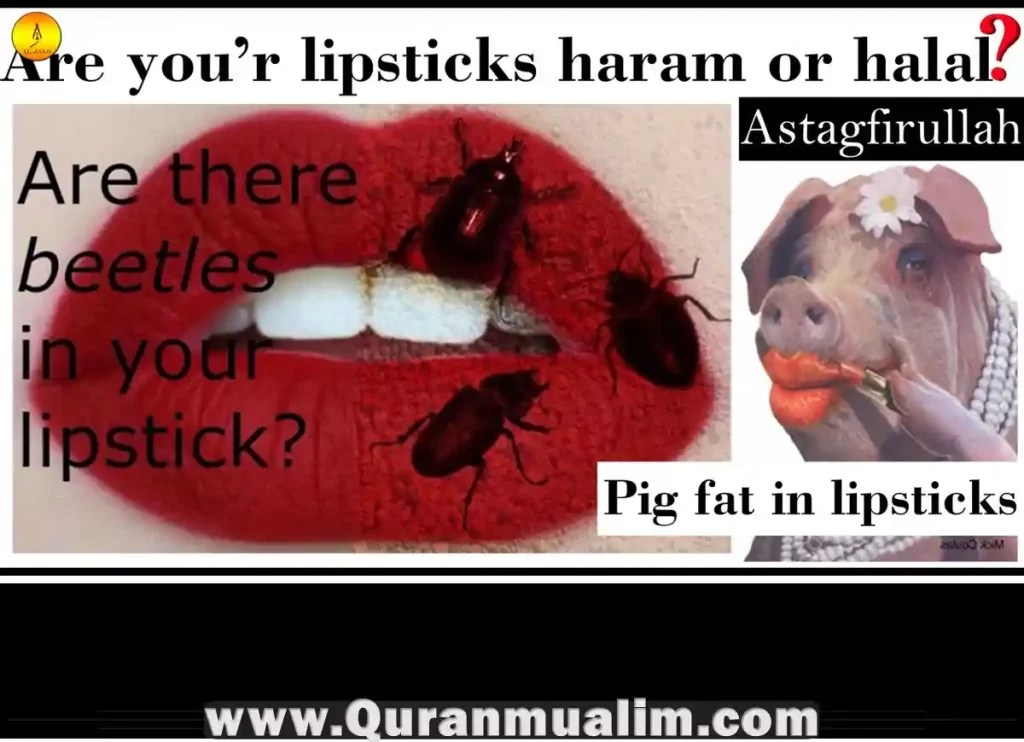 Is E120 Halal or Haram in Islam? Quran Mualim 2025(04)